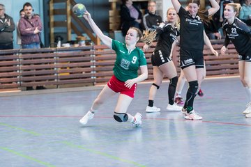 Bild 190 - F HSG Kre/Mue - HFF Munkbrarup : Ergebnis: 49:20